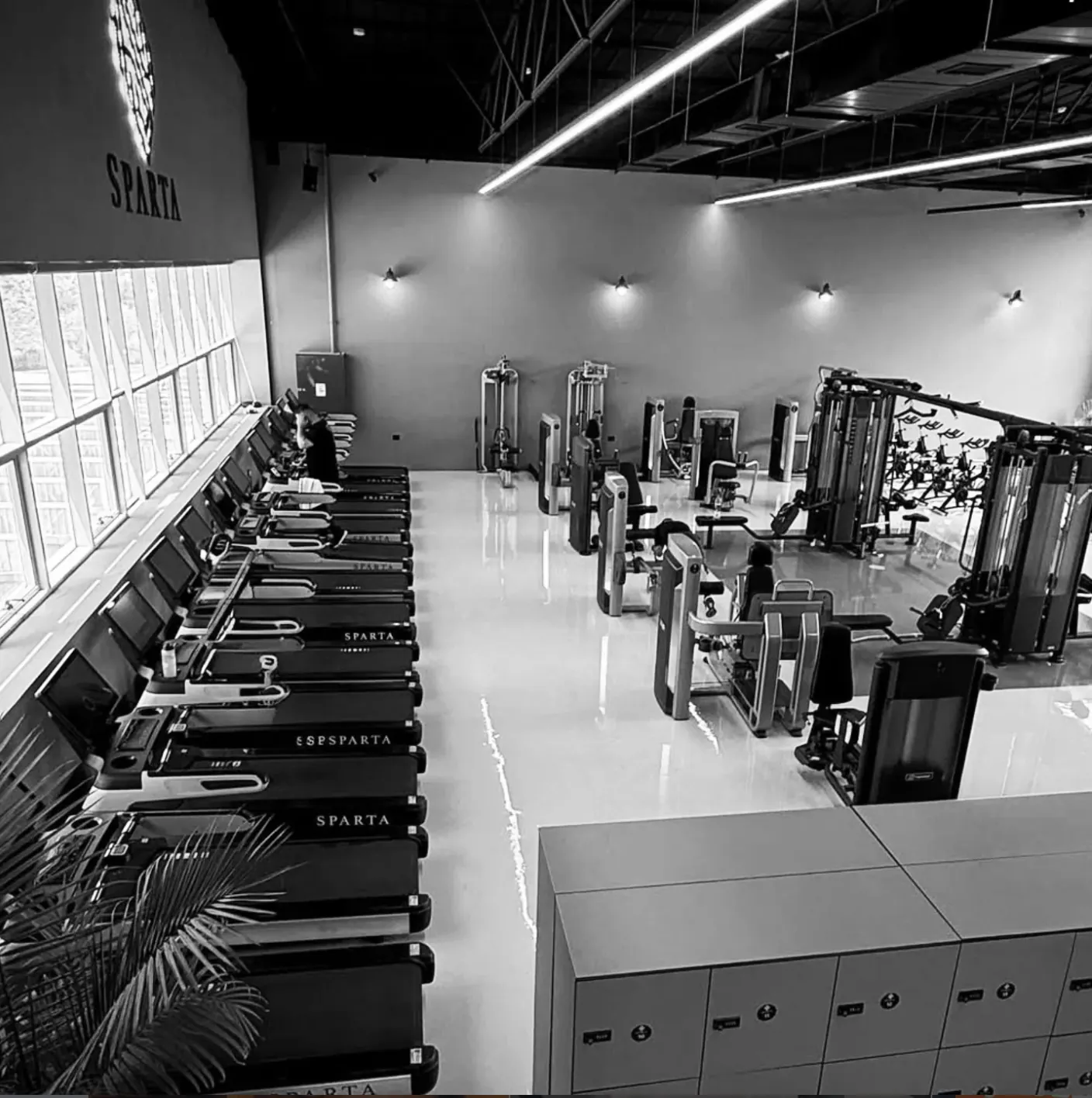 קרדיו · משוטים