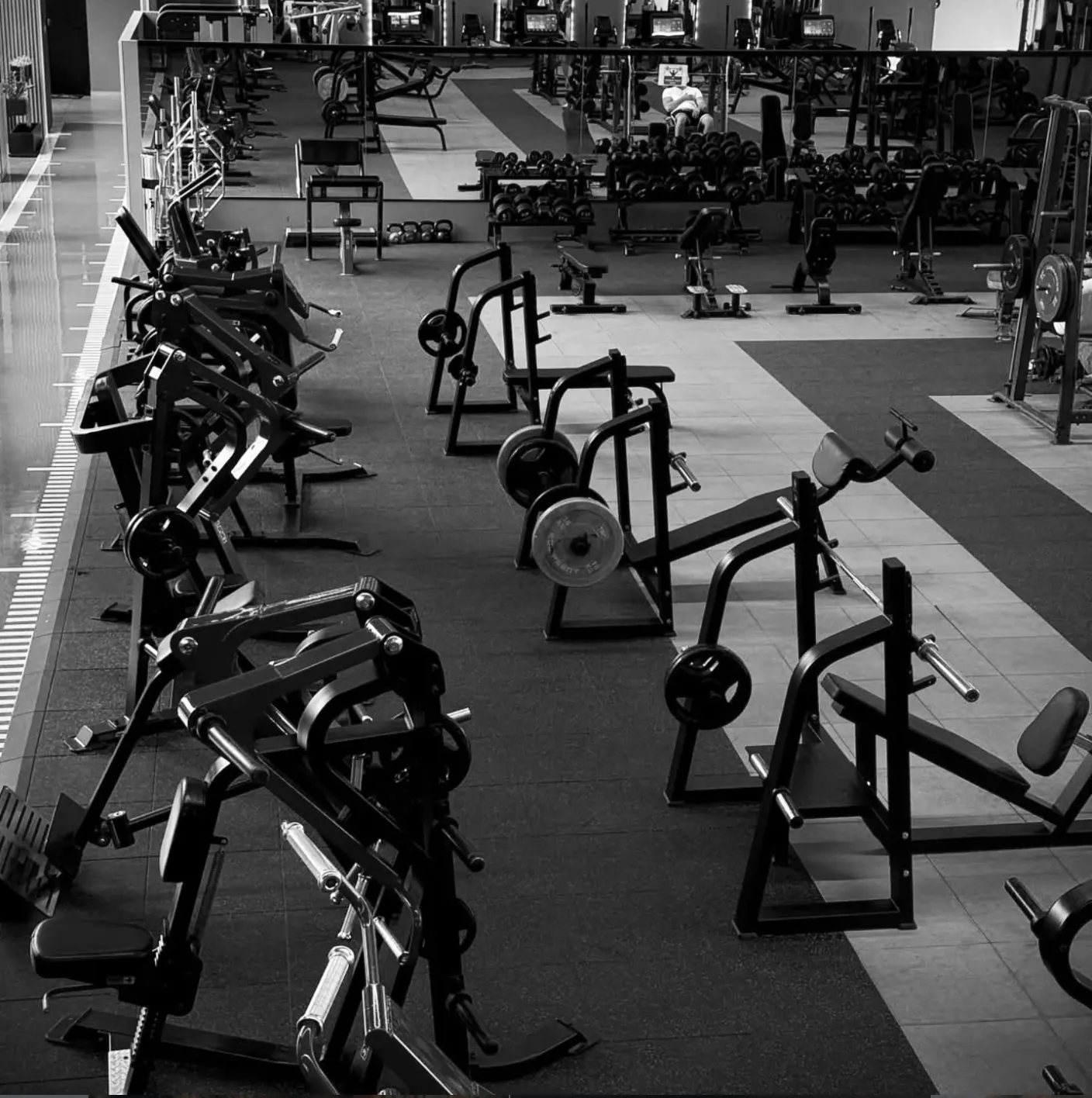 משקולות חופשיות