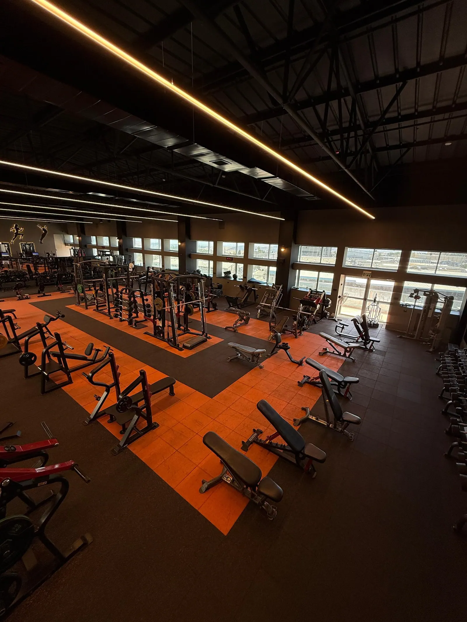 רצפת אימון · מבט על