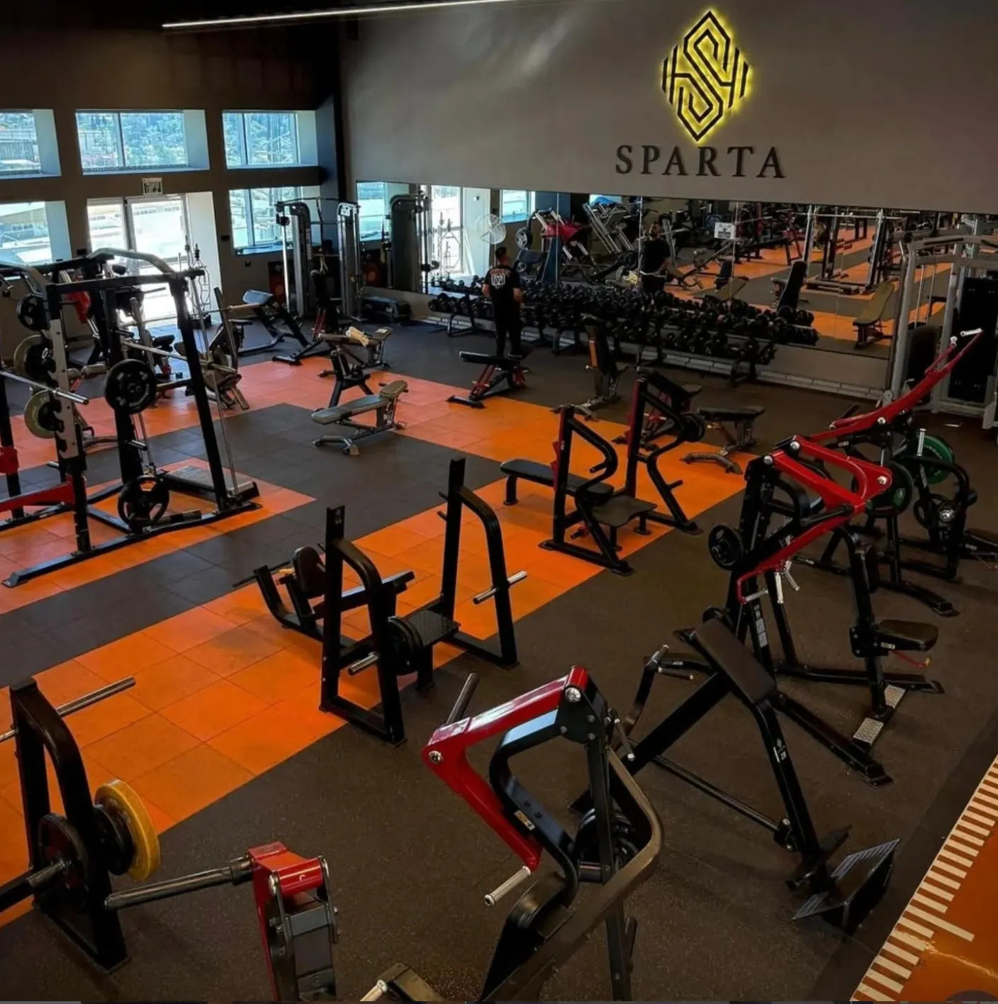 רצפת אימון · קיר ספרטה